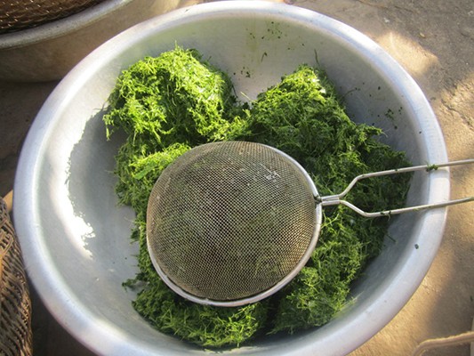 Về xứ Thanh thưởng thức bánh chưng xanh ảnh 2
