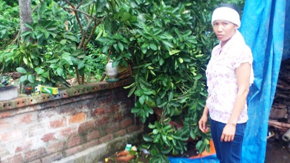 “Nghi án bố chồng nàng dâu”, con trai đẩy khiến cha ngã tử vong ảnh 1