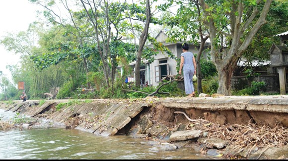 Sạt lở đe dọa hàng chục hộ dân cù lao Bắc Phước ảnh 1
