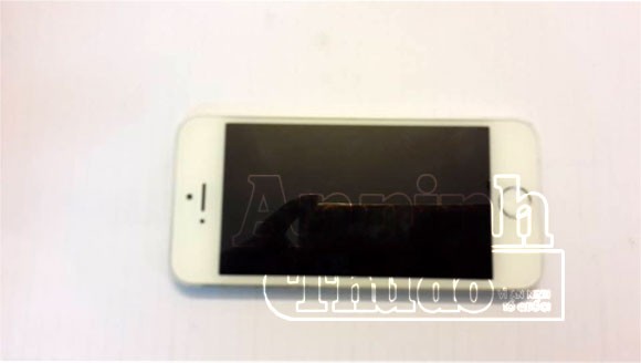 Về quê ăn Tết, nữ Việt kiều bị cướp điện thoại Iphone ảnh 2