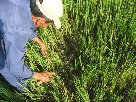 Hơn 6.500 hộ dân thiếu nước sinh hoạt cần sớm được giải hạn ảnh 3