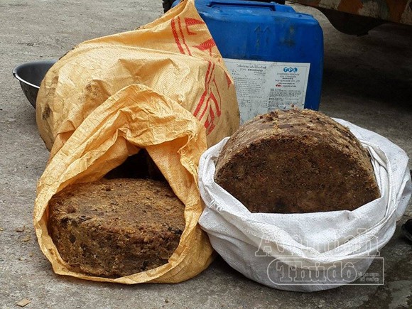 Cơ sở bẩn thỉu, nhân viên núp trong thùng xe tải để thái mỡ ảnh 5