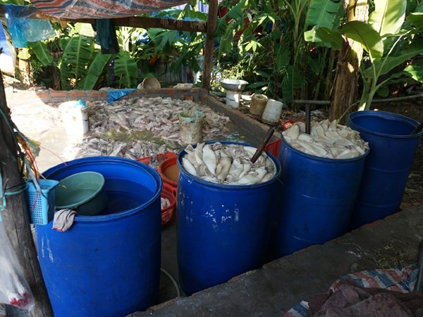 Cha say rượu đánh mẹ, bị con trai dùng kiếm đâm chết ảnh 1