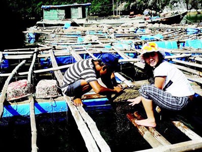 “Đối mặt với ma túy” ảnh 1