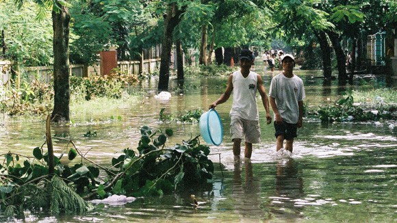 Đón chào ngày mới 29-6-2011 ảnh 1
