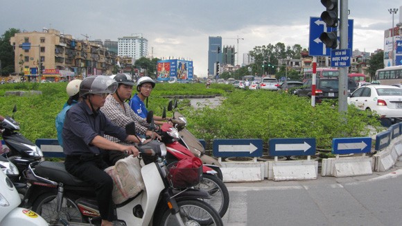 Phớt lờ biển báo trên đường ảnh 1