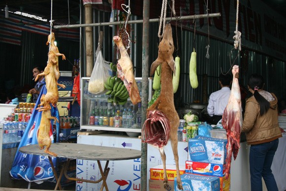 Chùa Hương vào hội: Giá vé, giá đò đều tăng ảnh 2