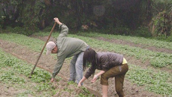 Sự đổi thay diệu kỳ ảnh 1
