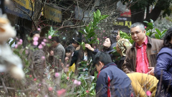 Điểm hẹn đón xuân ảnh 1