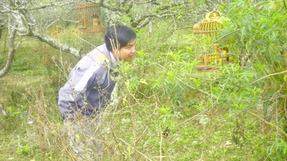 Chợ không có đàn bà ảnh 3