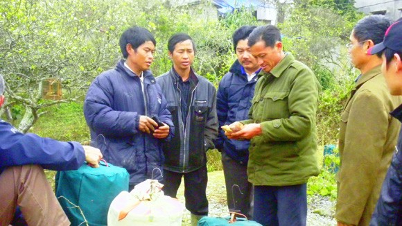 Chợ không có đàn bà ảnh 2