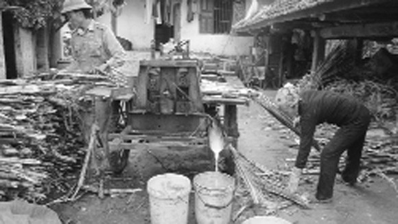 Mật ngọt cũng lắm công phu... ảnh 1