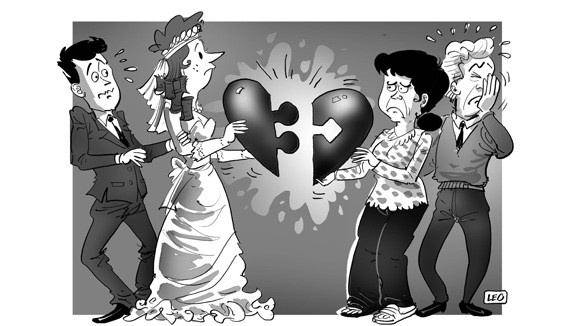 Chuyện gái Tây làm dâu Ta ảnh 1