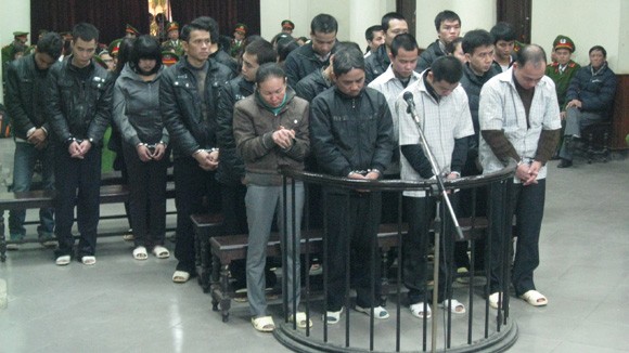 Tổ “quỷ” quy mô lớn ảnh 1
