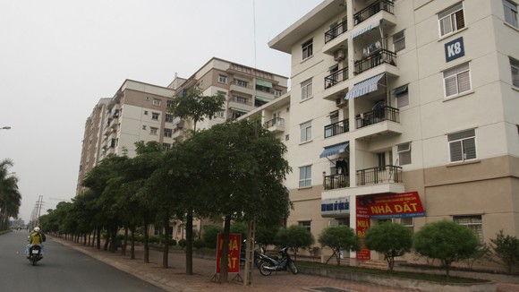Đấu giá nhà đất bị thu hồi ảnh 1