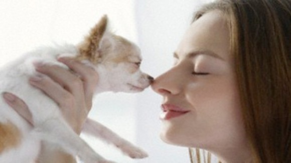 Liệt chi vì ngủ cùng thú nuôi ảnh 1