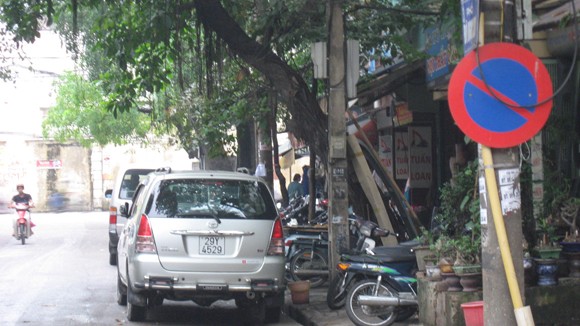 Biển cấm để... làm cảnh? ảnh 1
