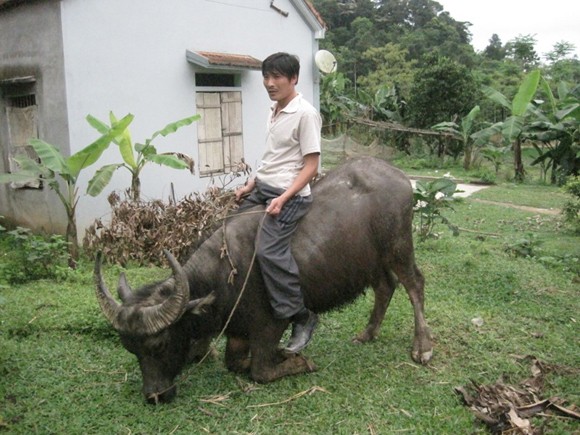 Biệt tài kỳ lạ của chàng trai xứ Nghệ ảnh 2
