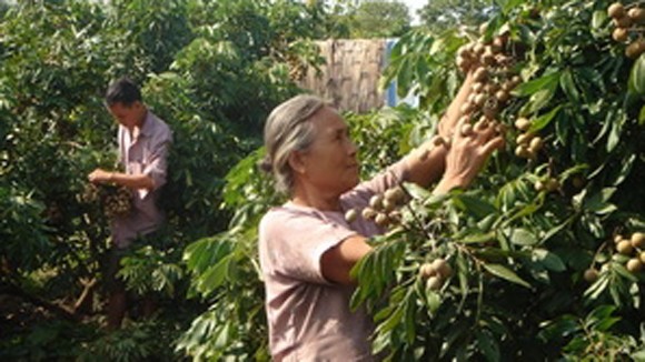 Sức bật từ đất nhãn ảnh 1