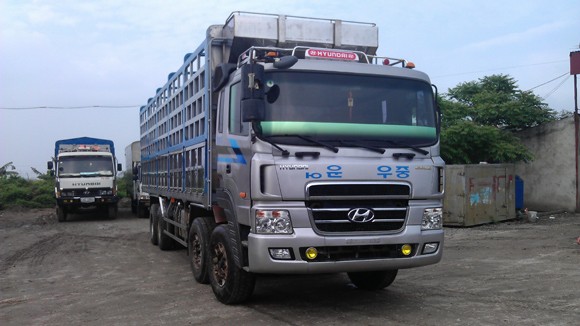 Cấm hoán cải xe cơ giới: Một văn bản cửa quyền ảnh 1