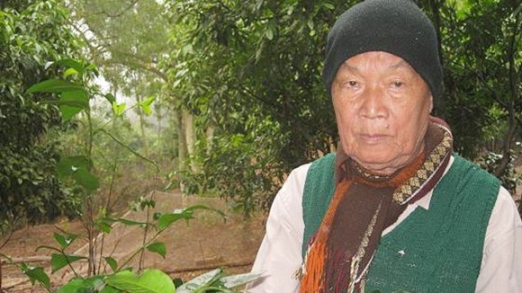 Săn lùng sâm quý tiến vua ảnh 1