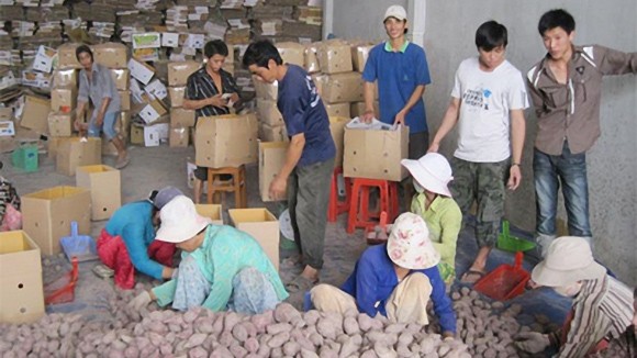 Không để thương lái nước ngoài chộp giật ảnh 1