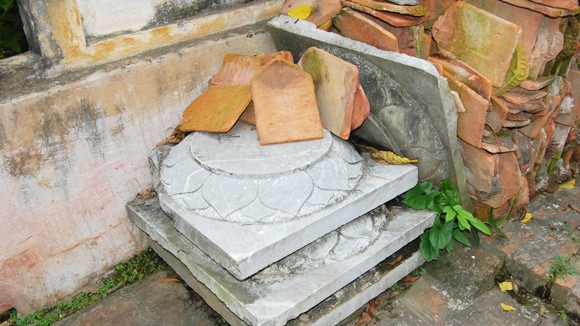 Hiển hiện một thảm họa bảo tồn ảnh 1