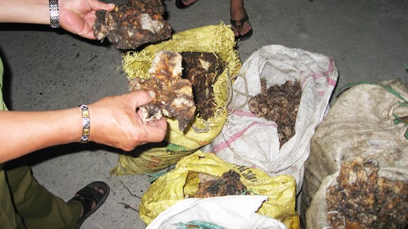 Nhân bánh Trung thu quá hạn ảnh 1