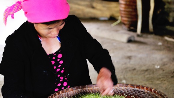 Lên đỉnh mây giăng thưởng cốm Tú Lệ ảnh 1