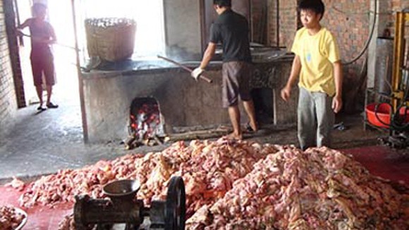 Kinh hoàng “chế” dầu ăn từ dầu thải ảnh 1