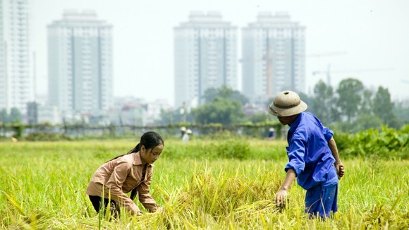 Thanh tra Chính phủ: Sai đâu phải sửa đó! ảnh 1