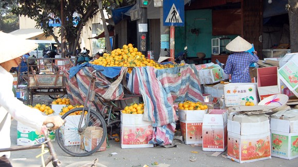 Bất lực với chất lượng rau quả nhập khẩu ảnh 1