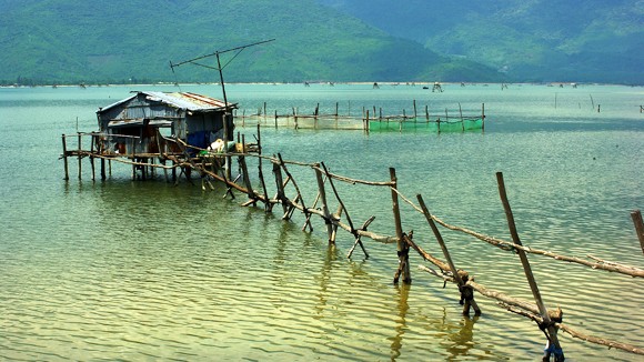 Chiều trên phá Tam Giang ảnh 1