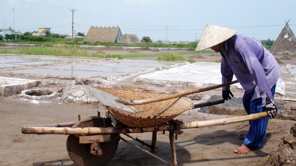 Xót xa nghề muối ảnh 1