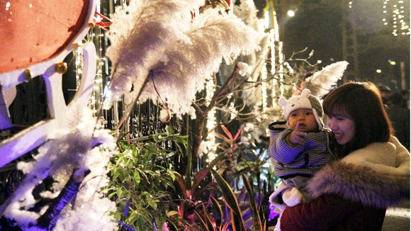 Vui đón Giáng sinh an lành ảnh 1