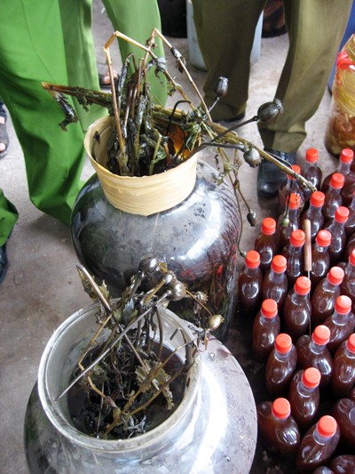 “Lách luật” bán rượu ngâm cây thuốc phiện ảnh 2