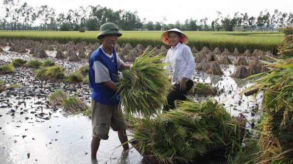 Tiếp thu góp ý kiến vào dự Luật Đất đai ảnh 1
