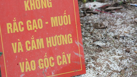 Đến thánh thần cũng... thua ảnh 1