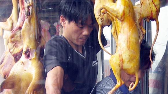 Liên ngành quyết “dẹp”, Ban tổ chức “xin” tha ảnh 1