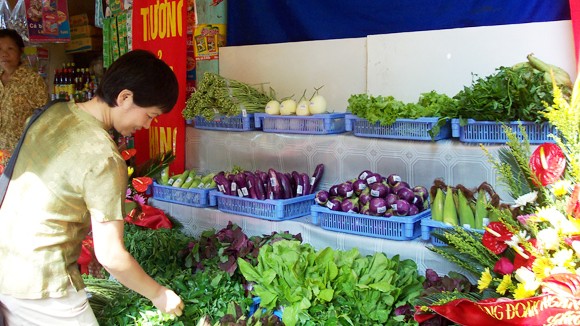 Lơ mơ về rau an toàn ảnh 1