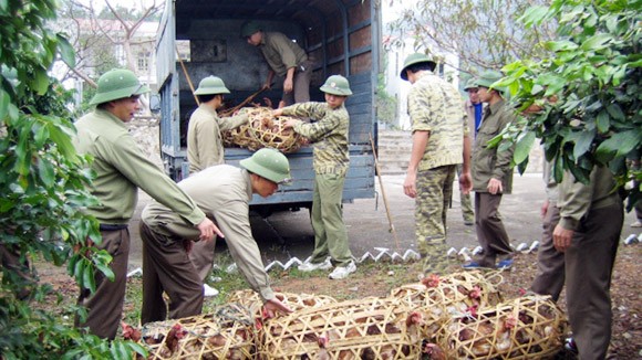Lãi lớn - nhắm mắt làm liều ảnh 1