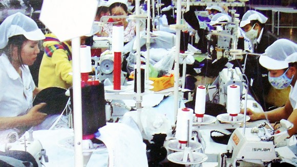 5 năm gia nhập WTO: Hệ quả không mong muốn ảnh 1