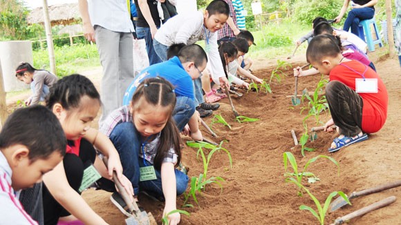 Đau đầu vì con sắp nghỉ hè ảnh 1