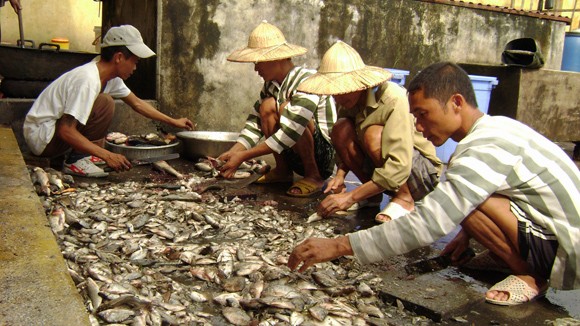 Tìm về con đường sáng ảnh 1