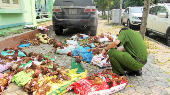 Ham rẻ, người tiêu dùng vẫn mua gà độc hại ảnh 1