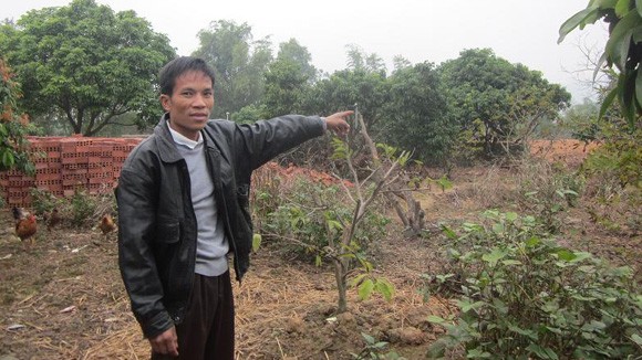 Quãng đời không đáng nhớ ảnh 1