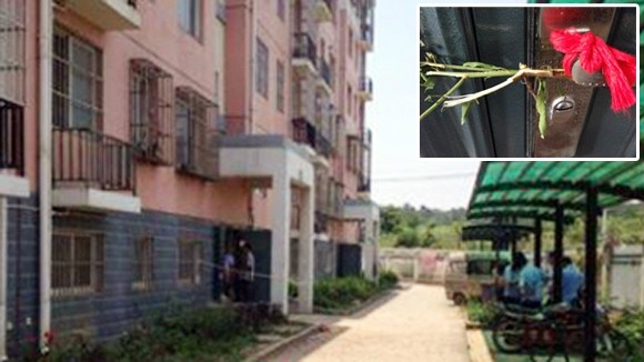 Sự nhẫn tâm và vô cảm rợn người ảnh 1