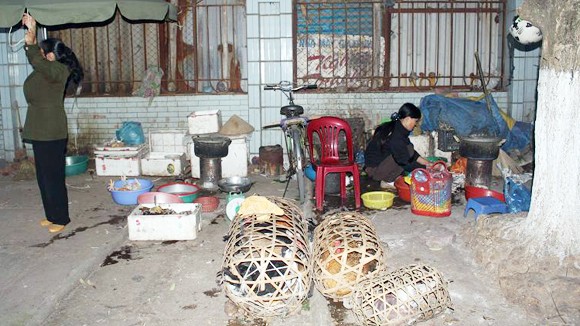 Lỗ hổng chưa được bịt ảnh 1