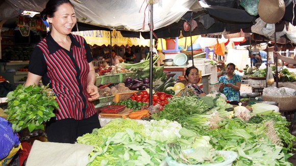 Rau xanh đắt giá ảnh 1