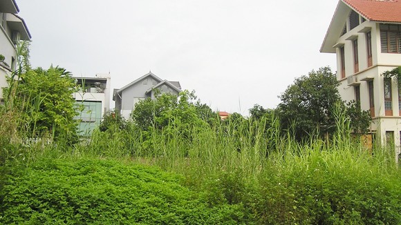 Thu hồi “đất treo” xây trường học ảnh 2